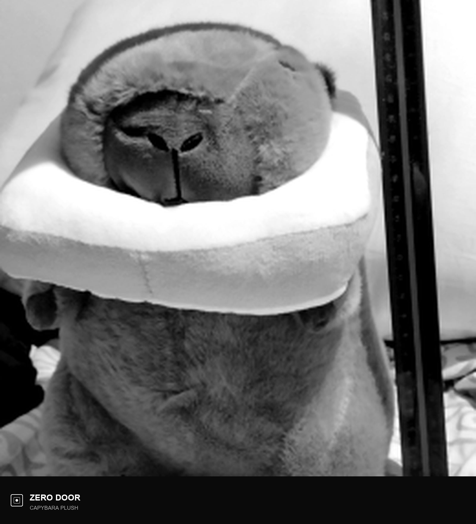 Capybara Gate Doll Plush Toys